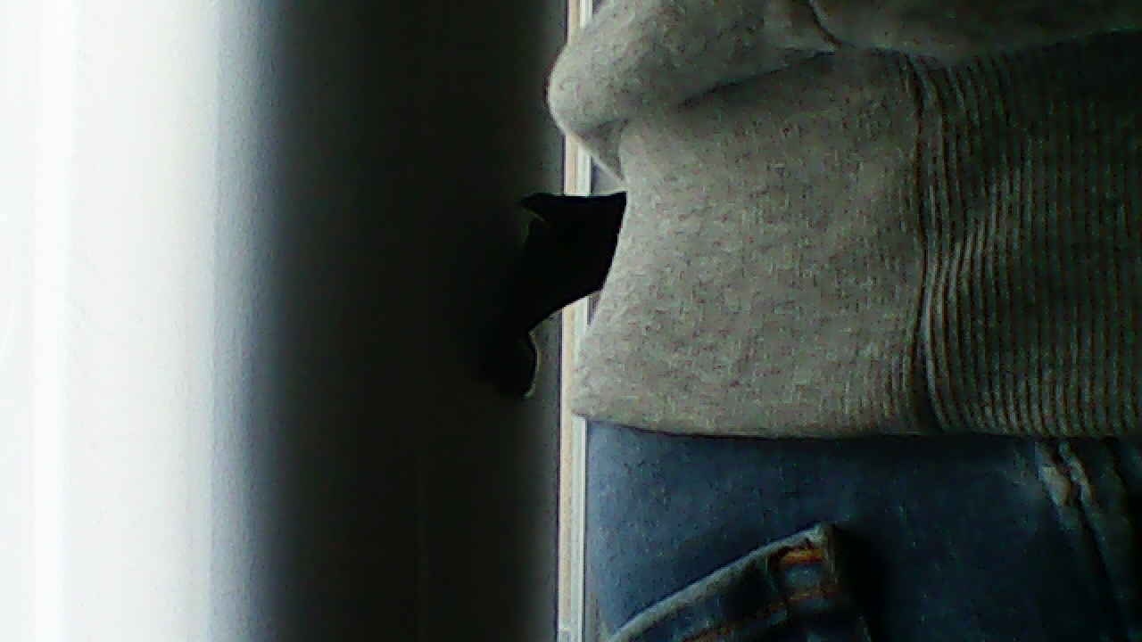 image_20240929_182713.jpg