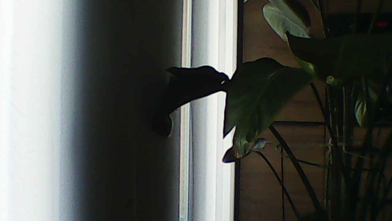 image_20240929_182907.jpg