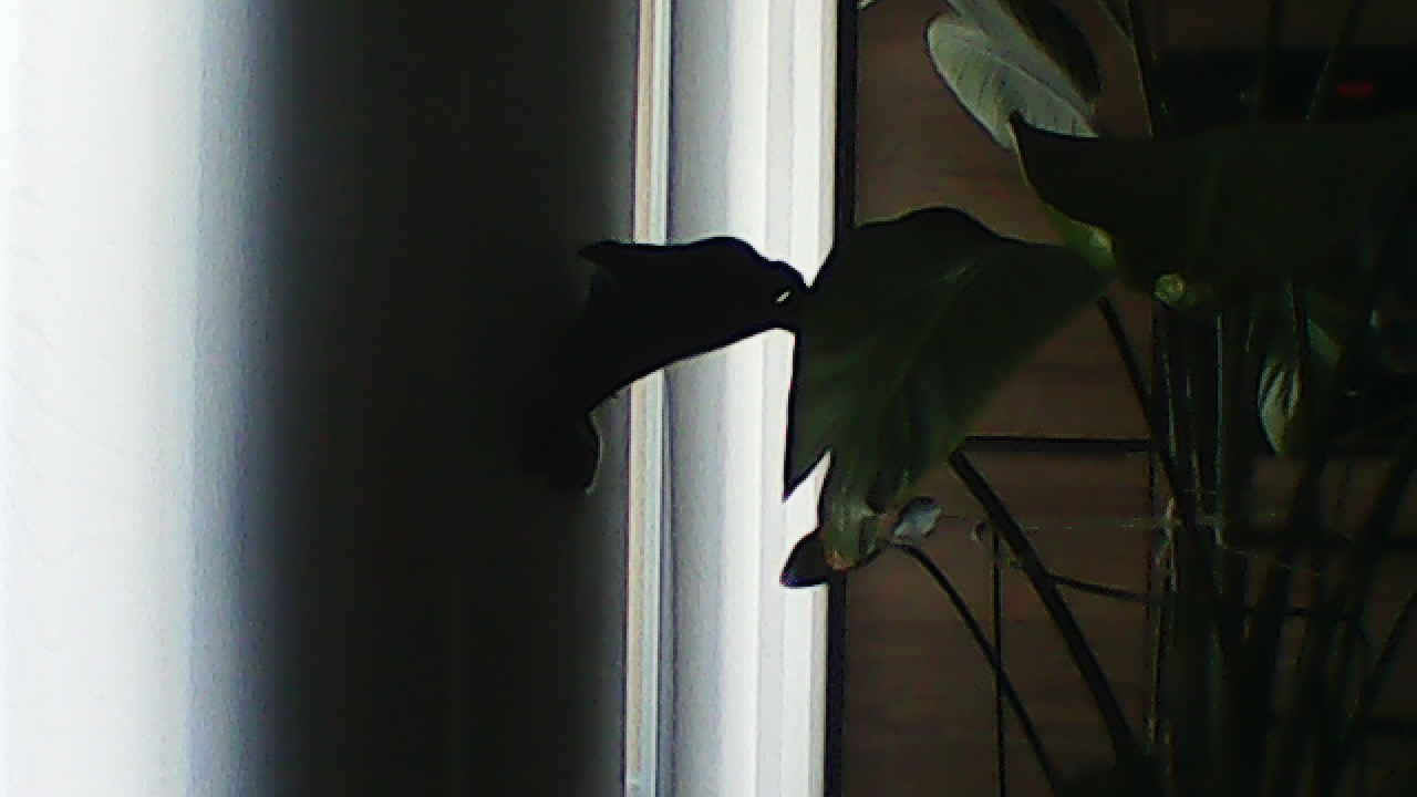 image_20240929_182940.jpg