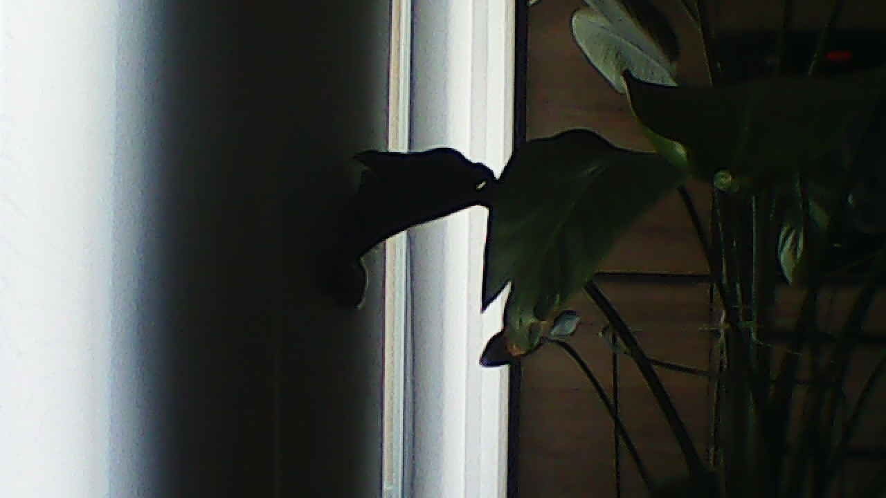 image_20240929_183003.jpg