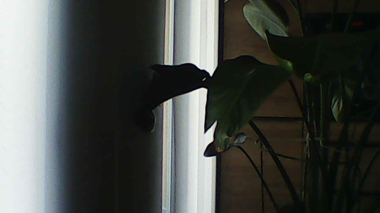 image_20240929_183015.jpg