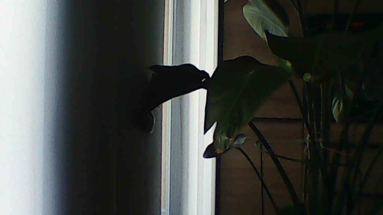 image_20240929_183027.jpg