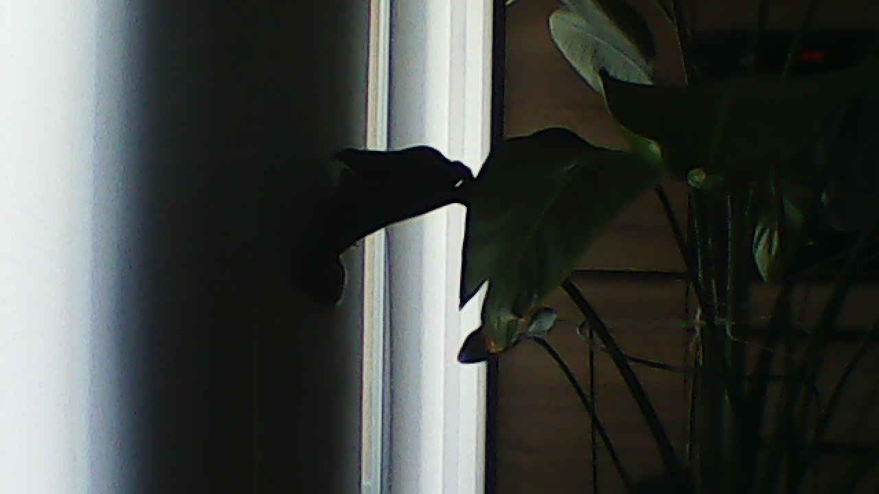 image_20240929_183101.jpg