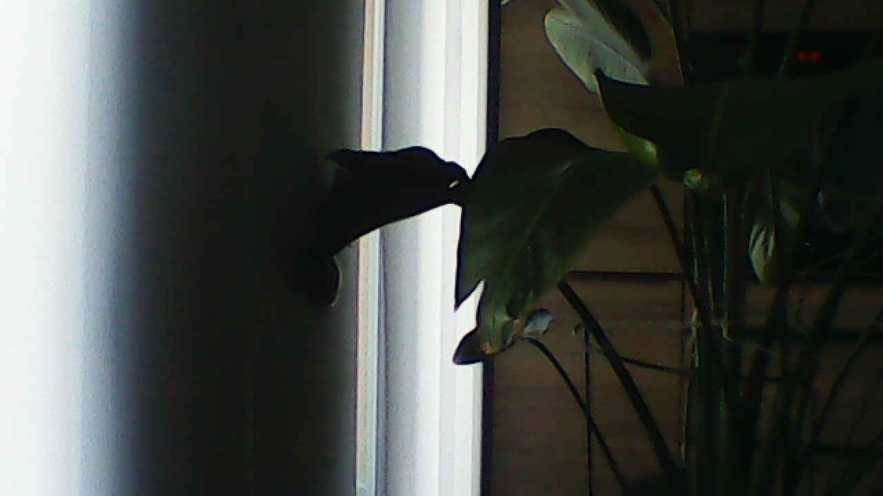 image_20240929_183149.jpg