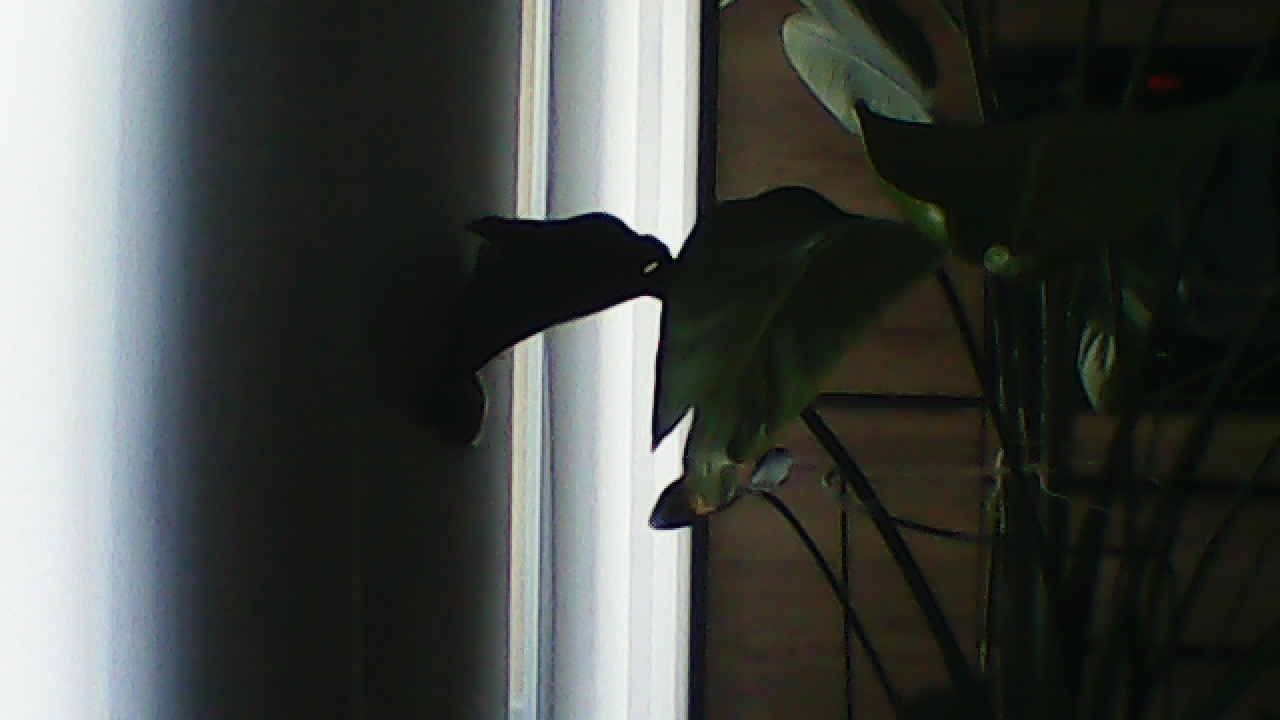 image_20240929_183215.jpg
