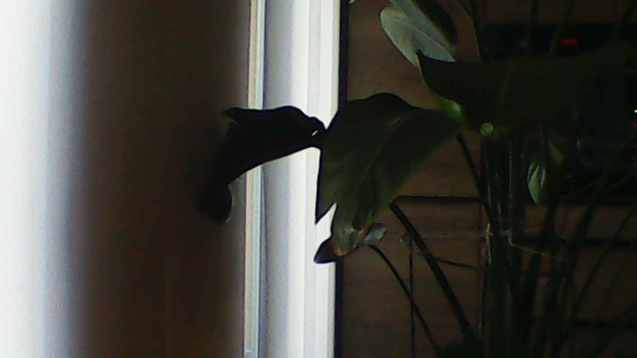 image_20240929_183351.jpg