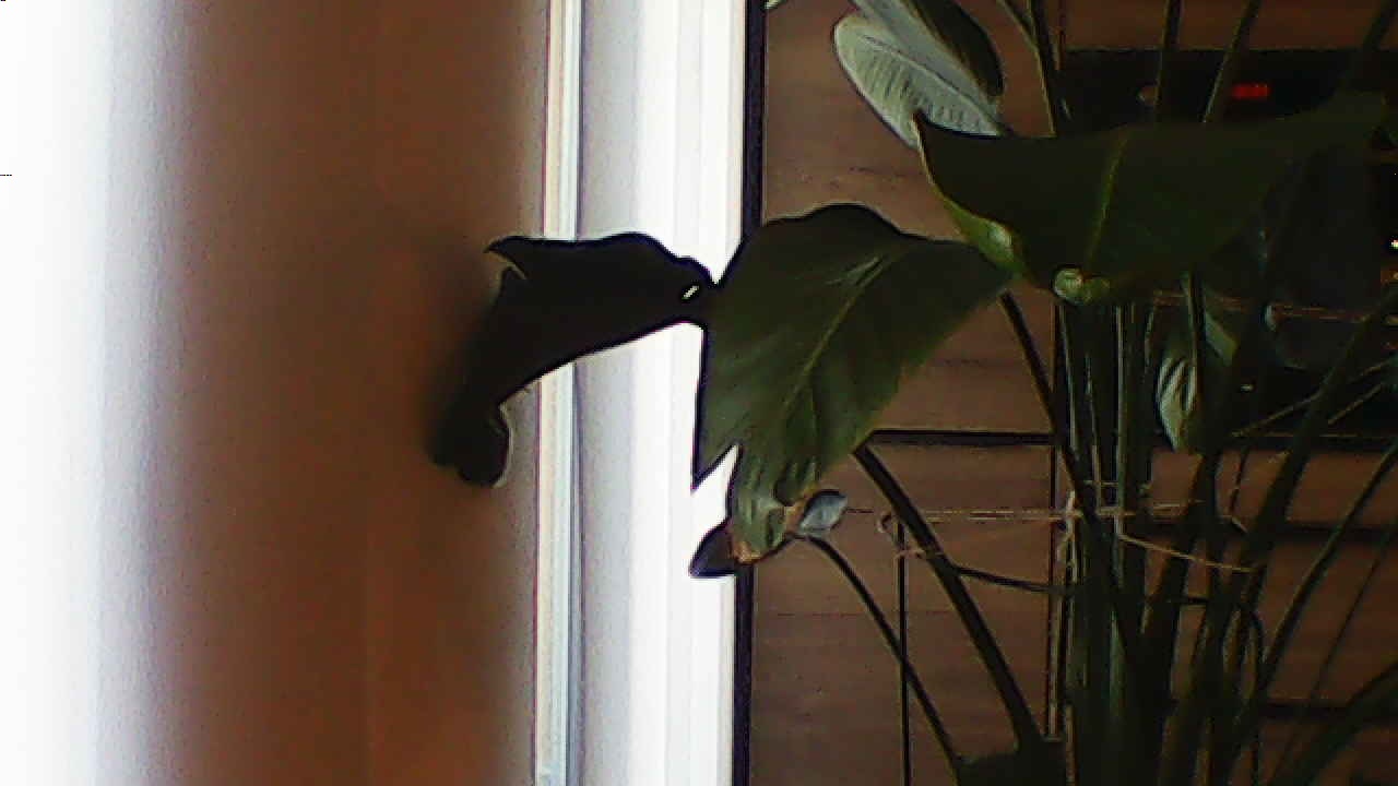 image_20240929_183635.jpg